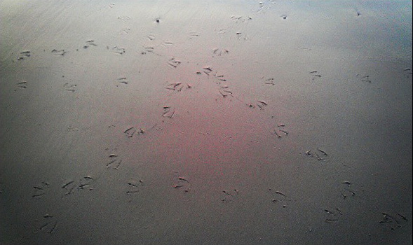 1e3395e0197611e3ab6822000a1fb191_7[1]