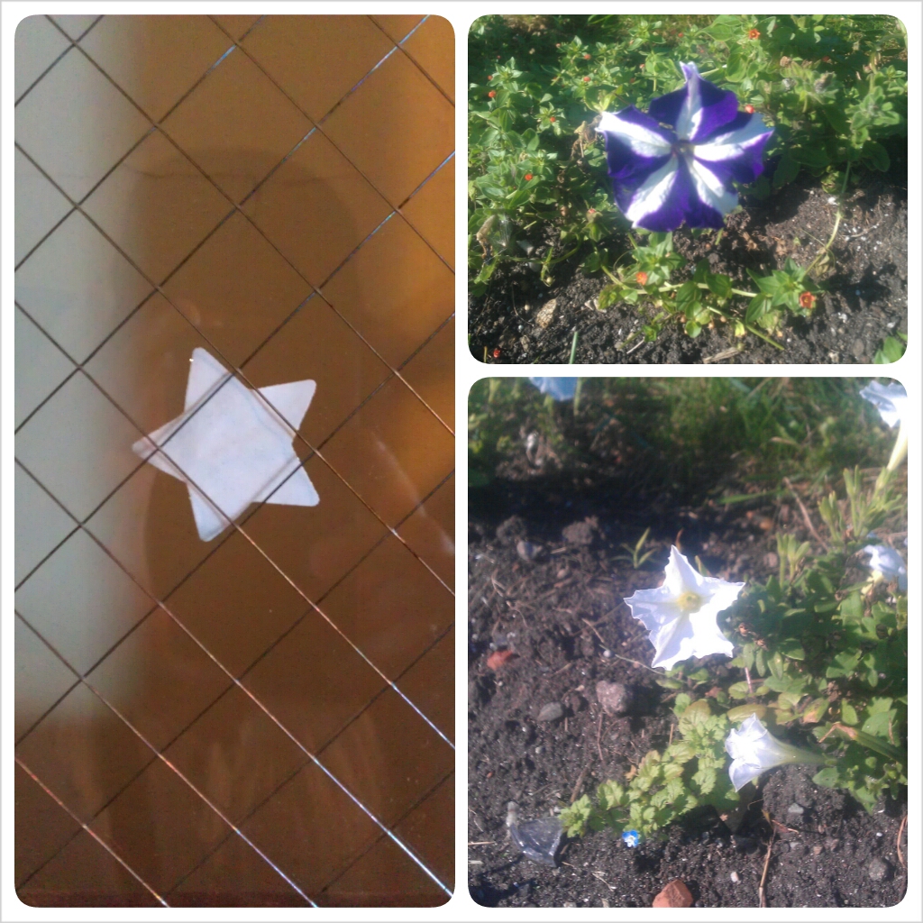 PhotoGrid_1380859138594