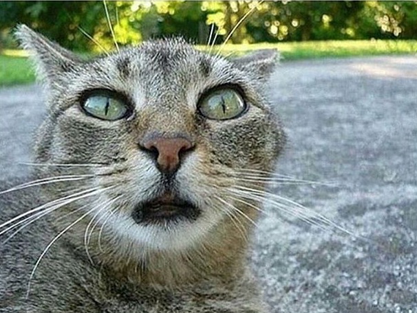 I Don’t Mind You Coming Here Wasting All My&nbsp;Time