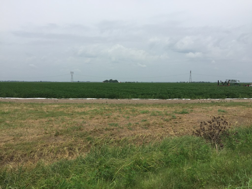 On Beating The Odds And Beautifying The&nbsp;World