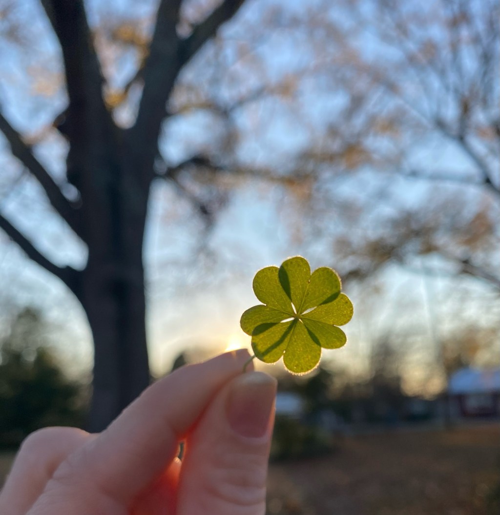 What Kind Of Magic Will I&nbsp;Use?